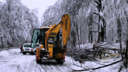 Продължава разчистването на прохода „Петрохан“ от падналите и пречупени дървета