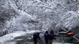 Четири екипа разчистват падналите от снега дървета на пътя Черноочене – Асеновград и Ардино - Кърджали
