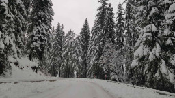Шофьорите, на които им предстои пътуване в област Смолян, да тръгват с автомобили подготвени за зимни условия! 22 см е снежната покривка