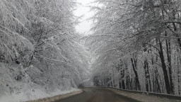 АПИ: Утре се очаква дъждът да преминава в сняг в Северна и Западна България. Шофьорите да тръгват с автомобили, готови за зимни условия